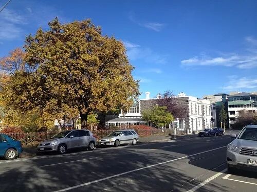 阿罗游学新西兰#4：终于在旦尼丁安顿下来啦