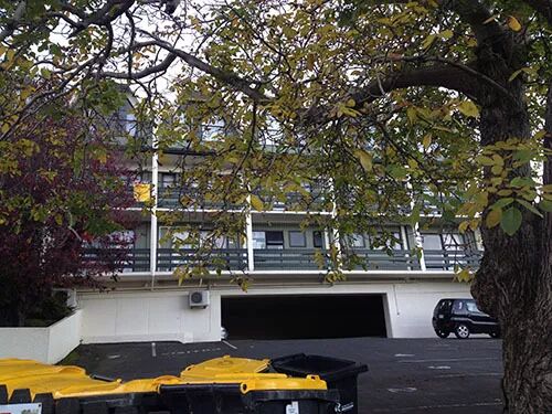 阿罗游学新西兰#4：终于在旦尼丁安顿下来啦