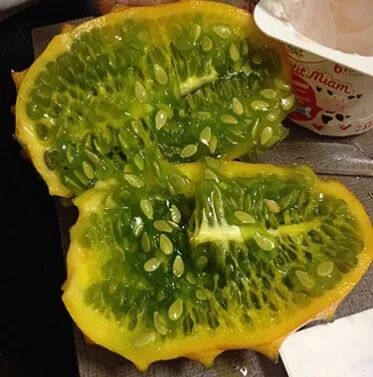 阿罗游学新西兰#4：终于在旦尼丁安顿下来啦