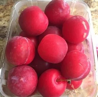 阿罗游学新西兰#4：终于在旦尼丁安顿下来啦