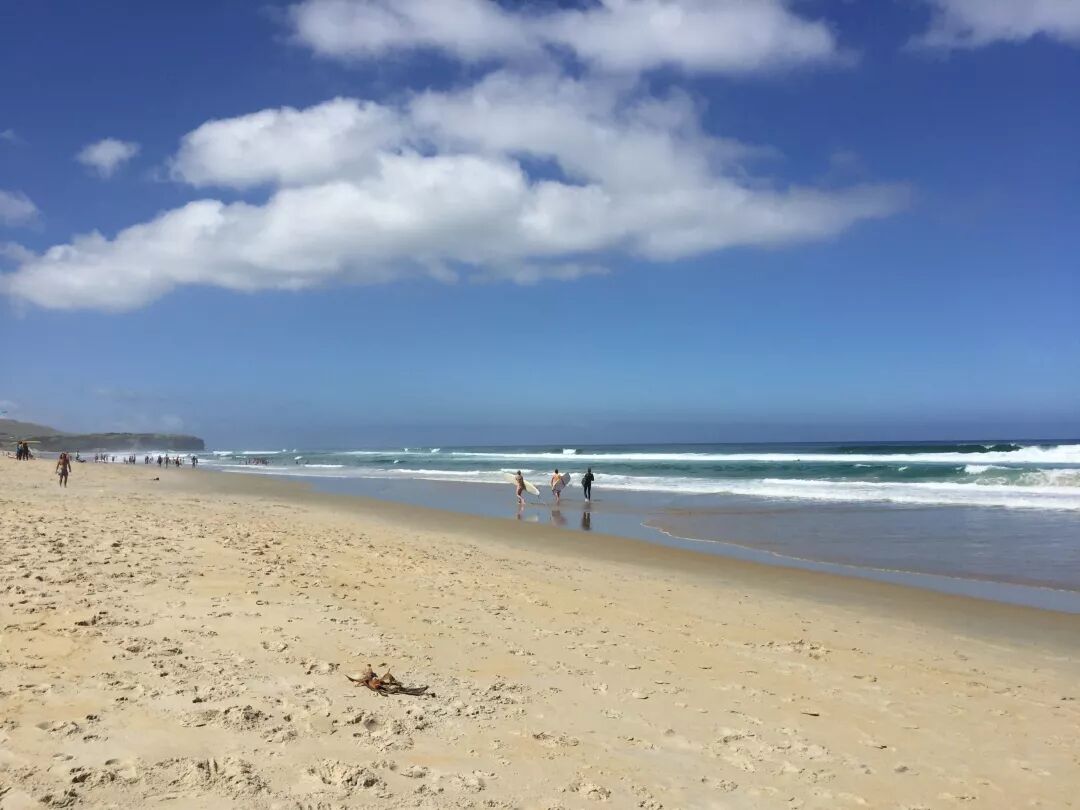 阿罗游学新西兰#9：新西兰的天，是娃娃的脸