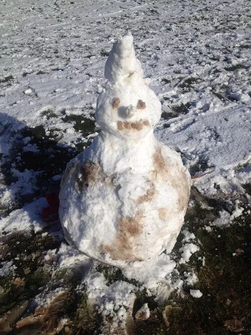 阿罗游学新西兰#9：新西兰的天，是娃娃的脸