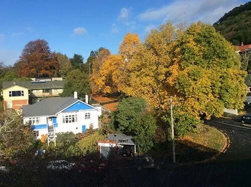 阿罗游学新西兰#9：新西兰的天，是娃娃的脸