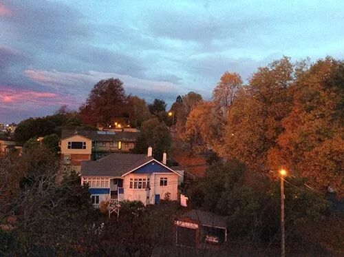 阿罗游学新西兰#9：新西兰的天，是娃娃的脸