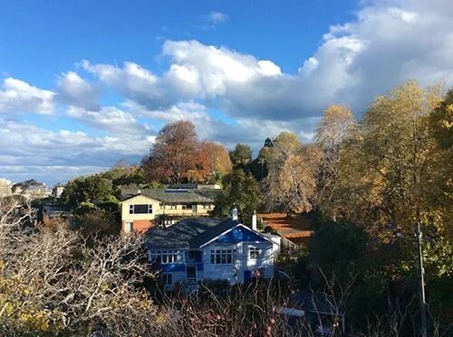 阿罗游学新西兰#9：新西兰的天，是娃娃的脸