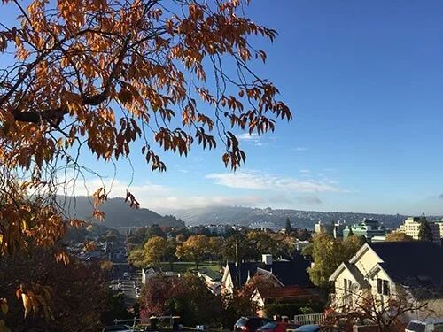 阿罗游学新西兰#9：新西兰的天，是娃娃的脸