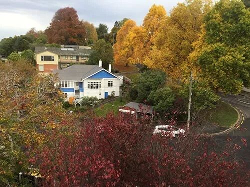 阿罗游学新西兰#9：新西兰的天，是娃娃的脸