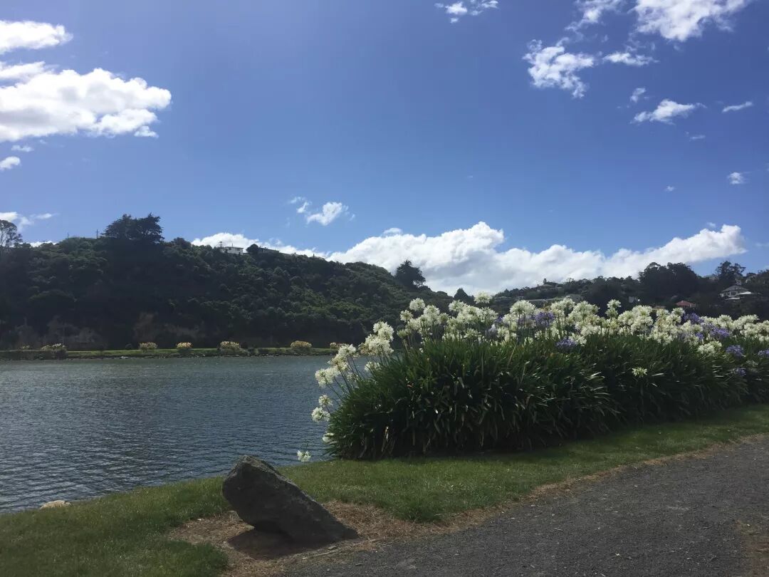 阿罗游学新西兰#9：新西兰的天，是娃娃的脸