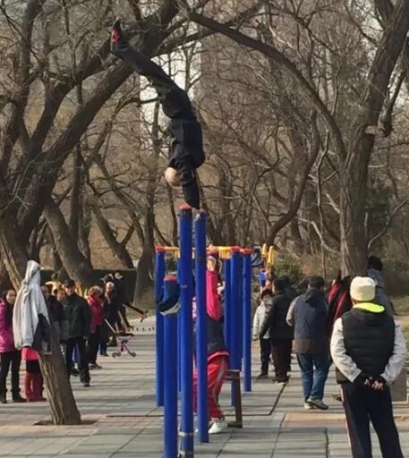 阿罗游学新西兰#2：签证办理与出行准备