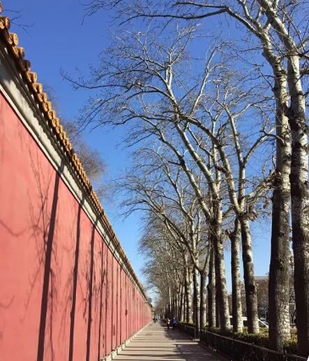 阿罗游学新西兰#2：签证办理与出行准备