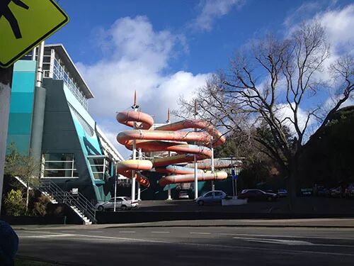 阿罗游学新西兰#7：不喜欢放假，喜欢上学的孩子