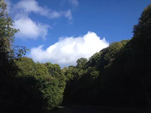 阿罗游学新西兰#7：不喜欢放假，喜欢上学的孩子