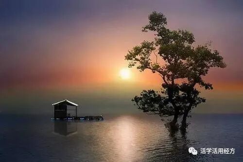 加味小柴胡汤治疗焦虑失眠案