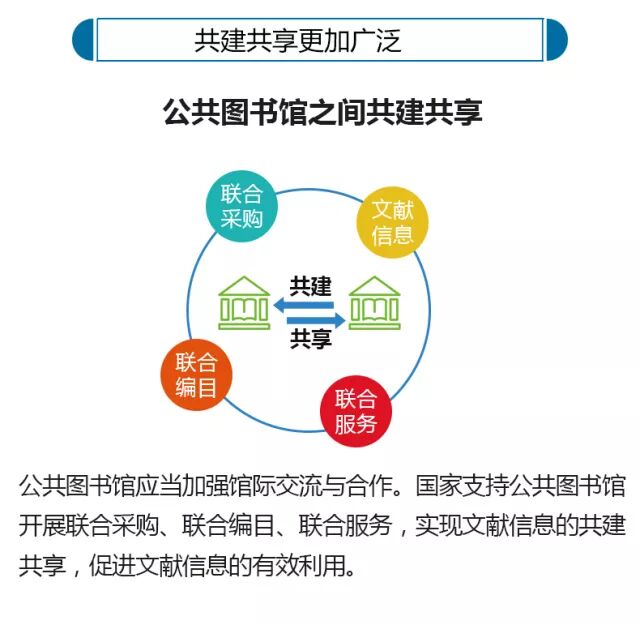 20180203162528_25hkfca38h.jpg?v=1762364415187