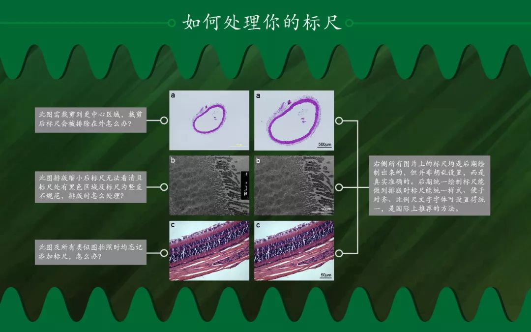c 工厂模式uml图_三国无双4修罗模式选图_模式图