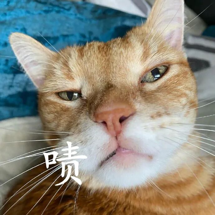 图片[4]-凡尔赛文学 - 如意-如意