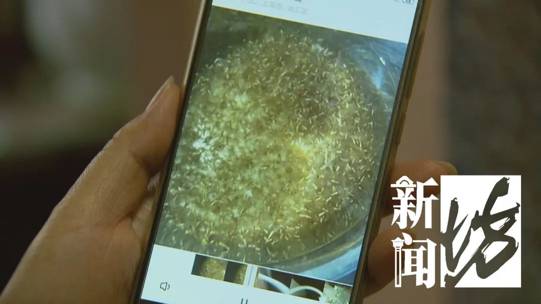 天擎殺蟲(chóng)煙劑_木地板殺蟲(chóng)劑哪個(gè)好_殺蟲(chóng)粉能不能殺蛀木蟲(chóng)