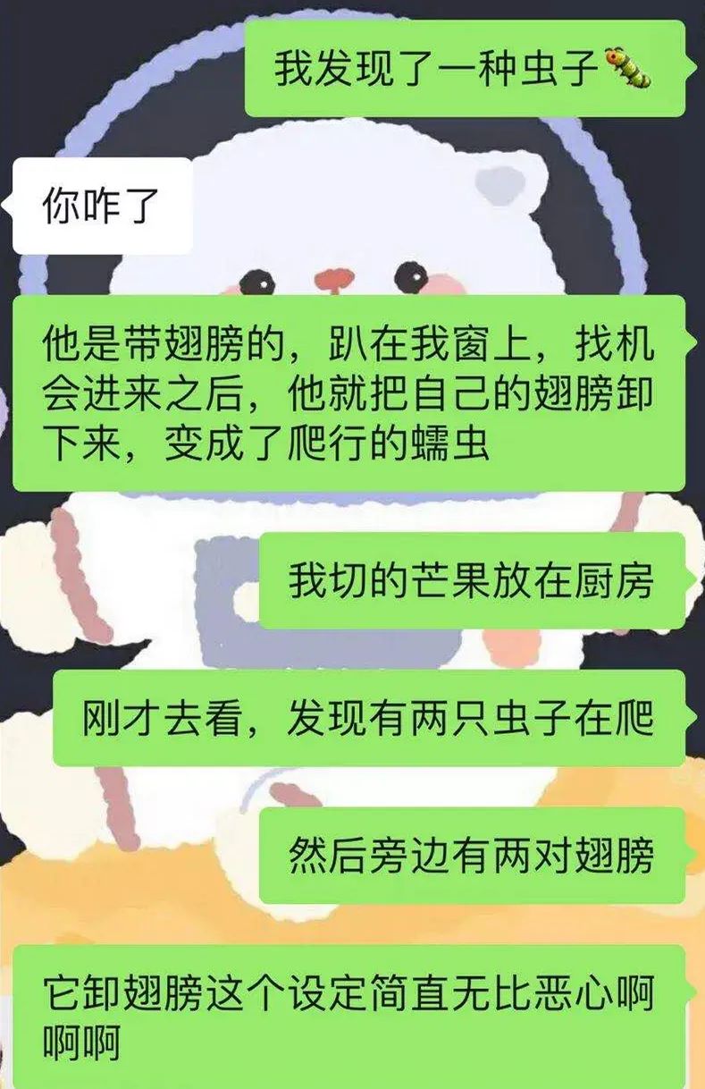 木地板殺蟲劑哪個好_天擎殺蟲煙劑_殺蟲粉能不能殺蛀木蟲