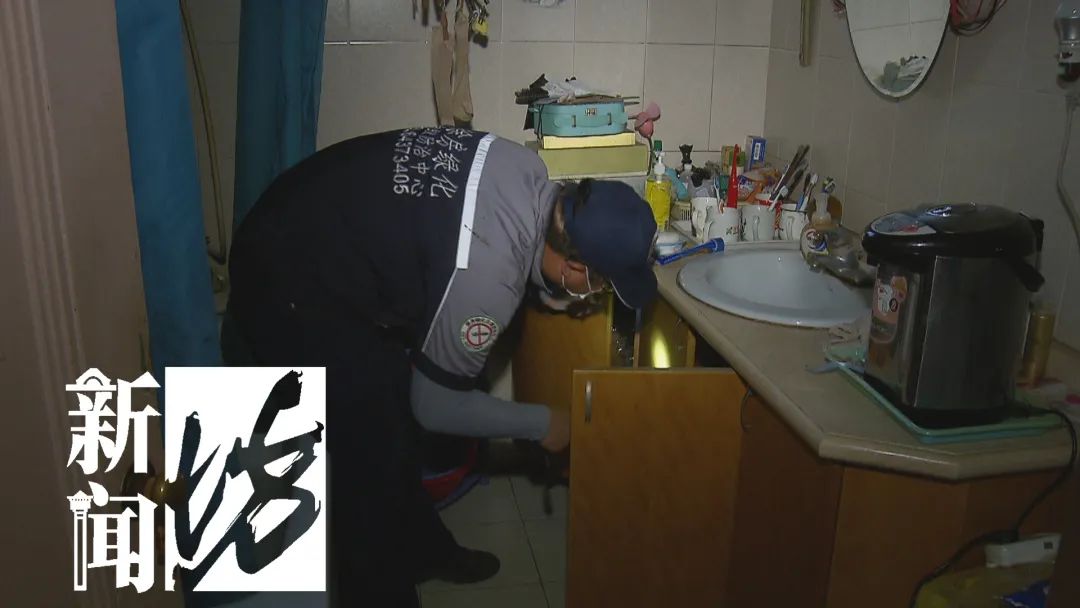 殺蟲(chóng)粉能不能殺蛀木蟲(chóng)_天擎殺蟲(chóng)煙劑_木地板殺蟲(chóng)劑哪個(gè)好
