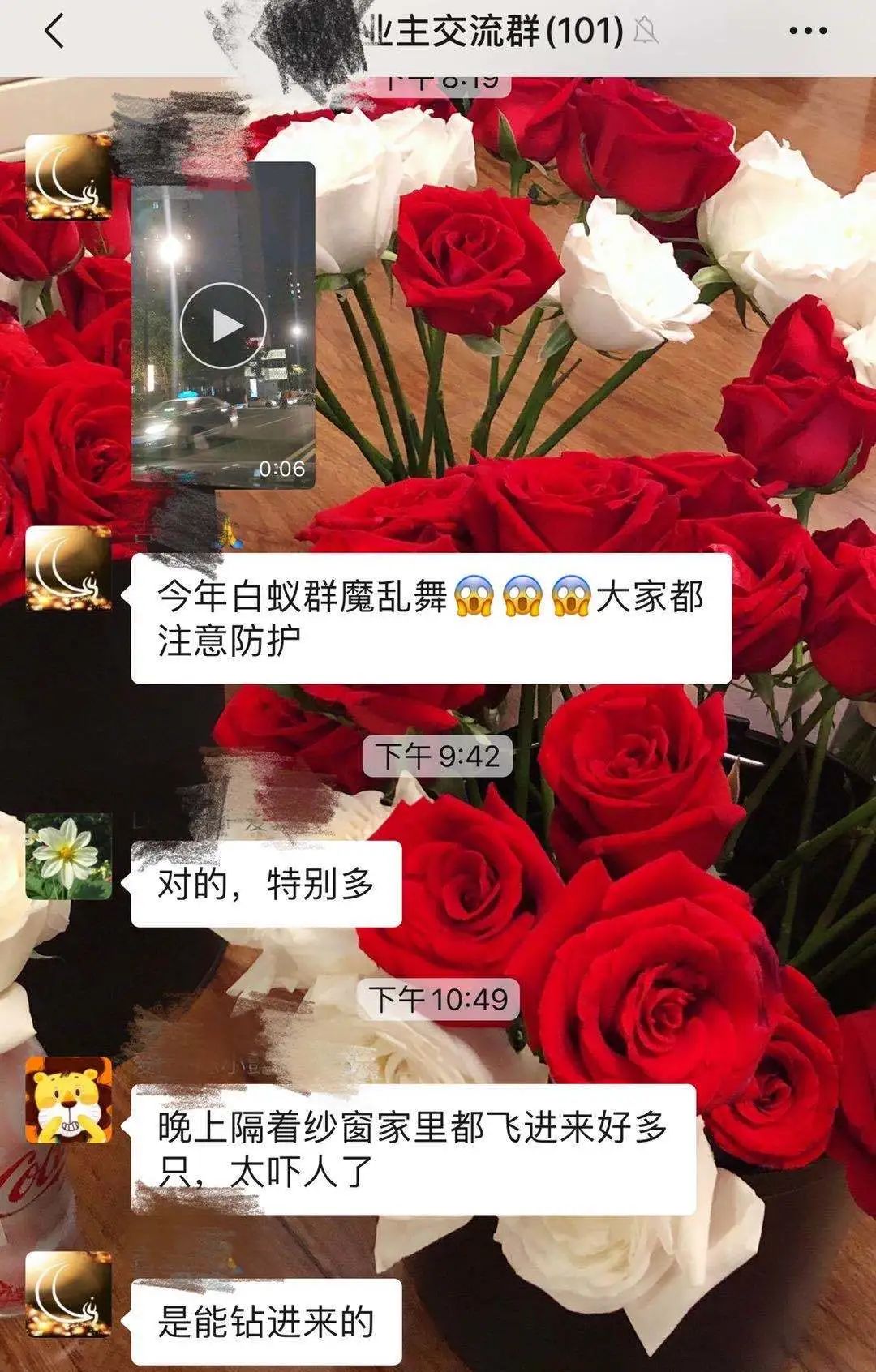 殺蟲(chóng)粉能不能殺蛀木蟲(chóng)_木地板殺蟲(chóng)劑哪個(gè)好_天擎殺蟲(chóng)煙劑