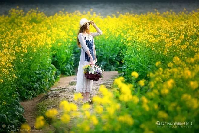 平静回归看淡生活的句子_回归平淡的生活_看淡生活回归平静