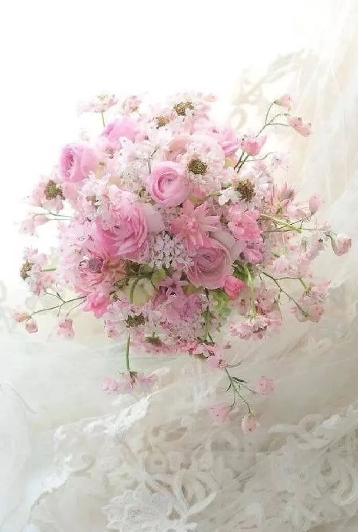 怡怎么读_张梦怡baby,看 解密张梦怡_怡字怎么读