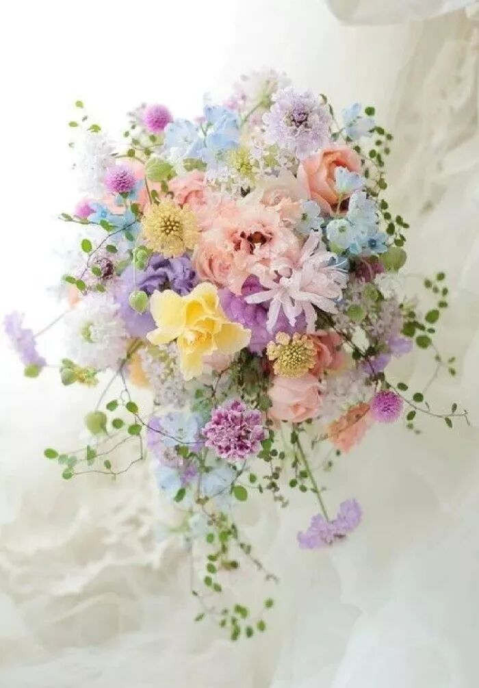 张梦怡baby,看 解密张梦怡_怡怎么读_怡字怎么读