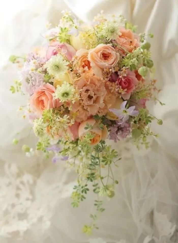 张梦怡baby,看 解密张梦怡_怡怎么读_怡字怎么读