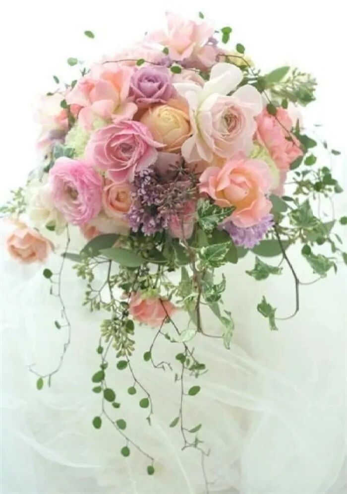 怡字怎么读_张梦怡baby,看 解密张梦怡_怡怎么读