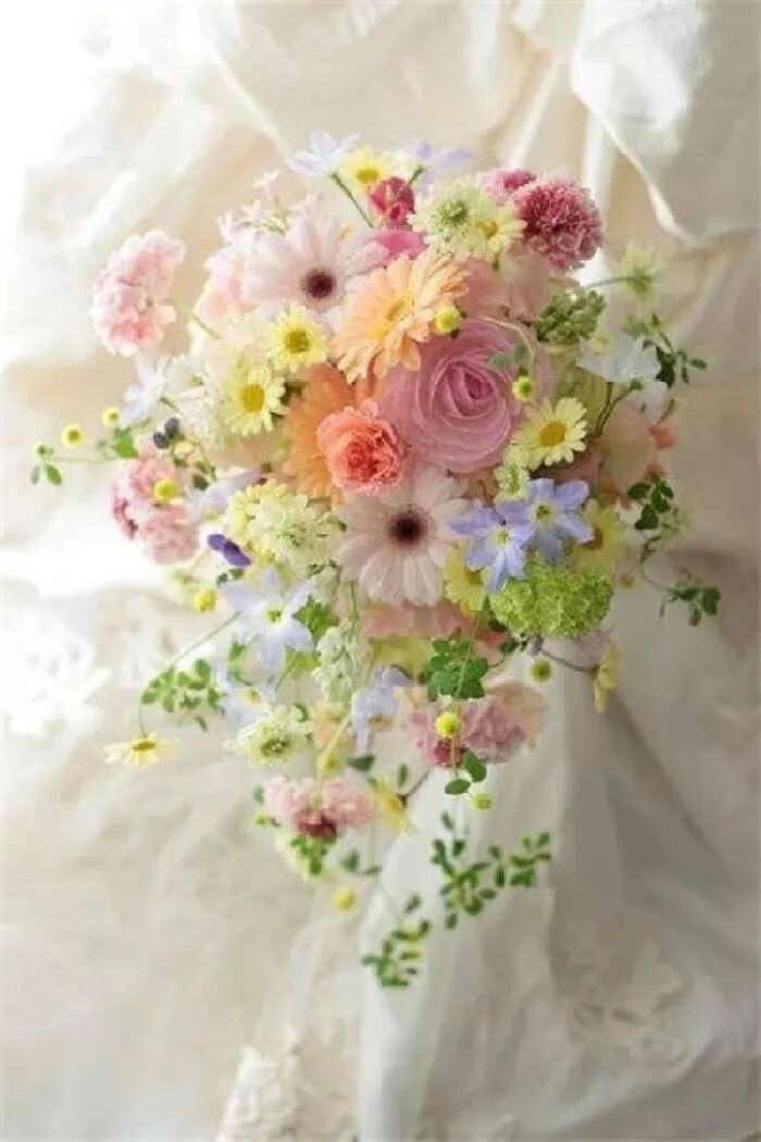 怡怎么读 神奇的中文，10人读9人错！你也读一遍试试，太有才了！