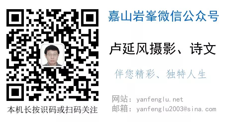 人品三要素