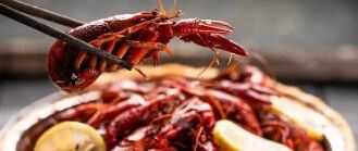 “第一次签病危通知书！”奥运冠军吴敏霞老公躺进ICU：再也不敢这么吃了……