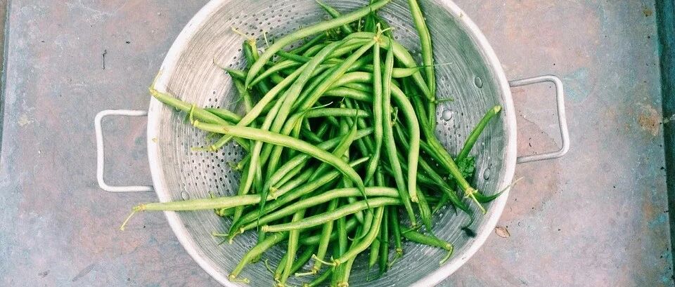 广东近期出现多起中毒事件！和这个食材有关