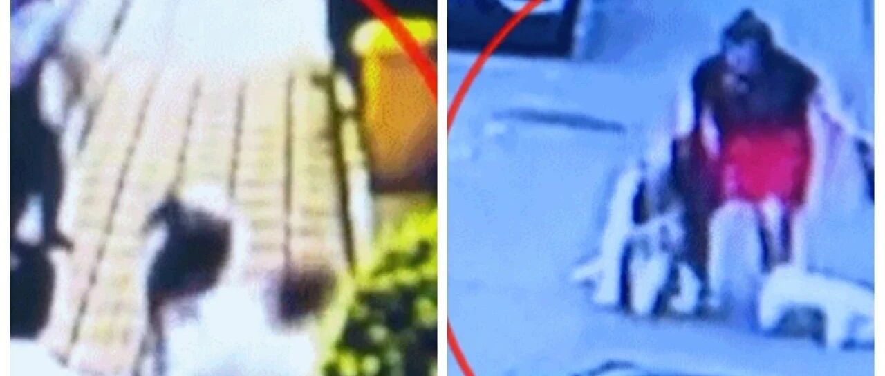 紧急提醒！近期多地有人被它咬伤，有医院一天接诊119人！