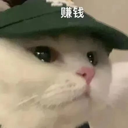 又涨了！2023年悉尼大学学费公布，留学生的口袋想揣都揣不住钱了（组图） - 41