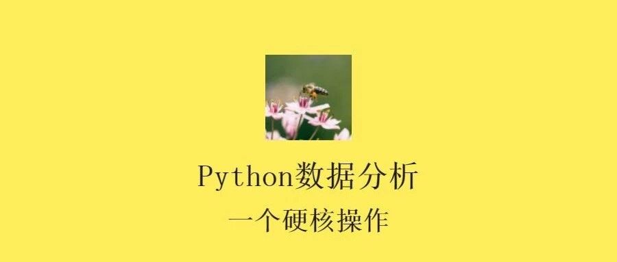 cover_image