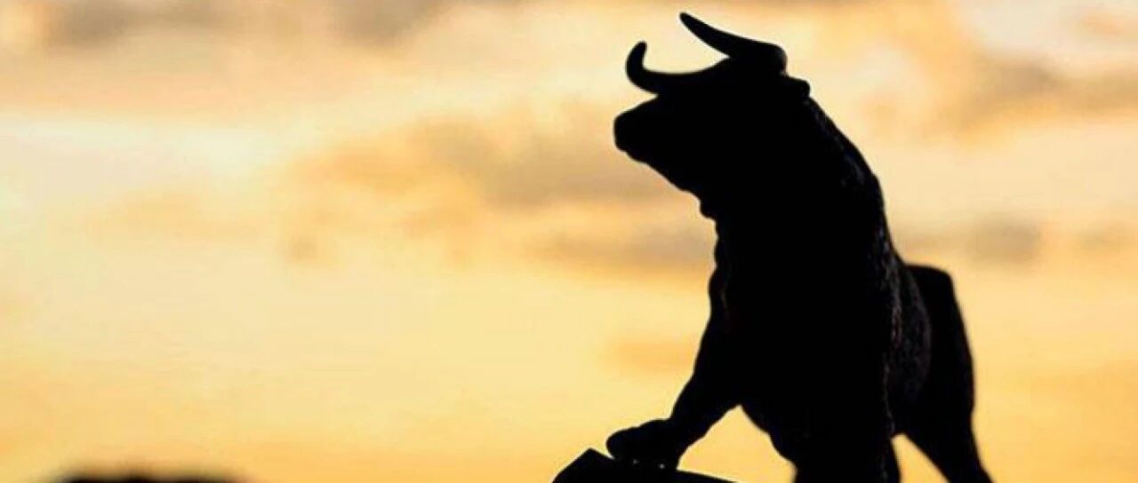 隐秘的“牛市”：靓股早已起飞，散户何去何从？