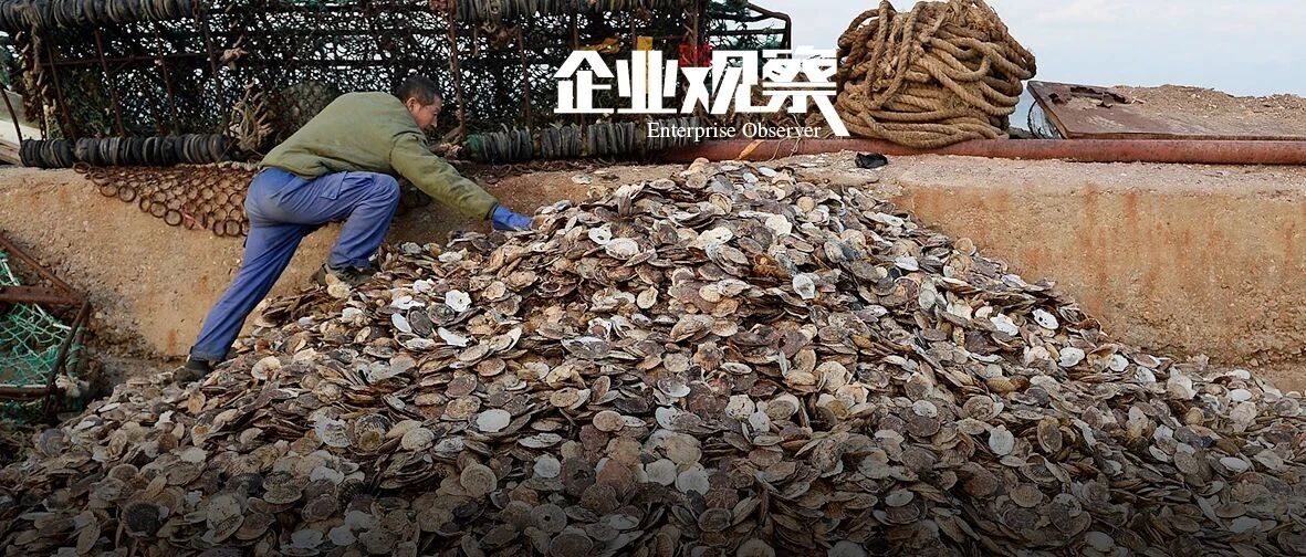 獐子岛，哪里跑？