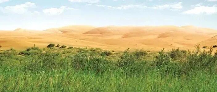 邵根伙：致敬中国圣牧