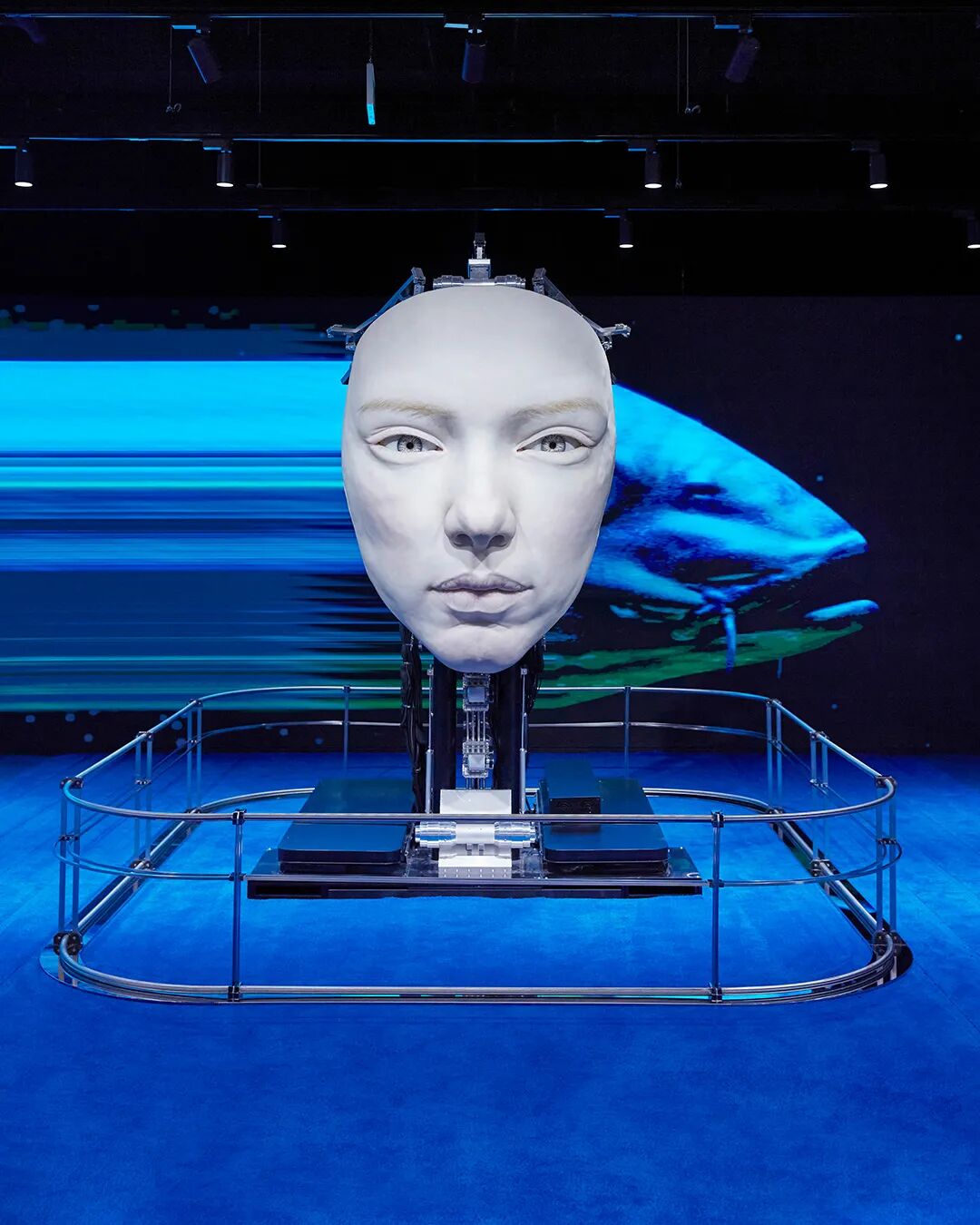 即将登陆成都银泰中心in99gentle monster巨型人脸装置檀健次等明星