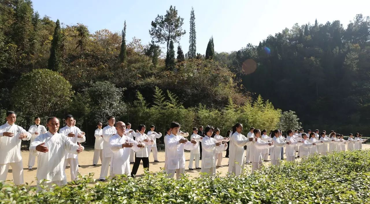 振兴武馆养生小知识(武术振兴系统)-第1张图片-鲸幼网