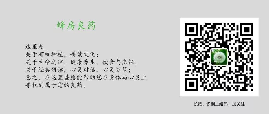 第3期 十字架隐藏的意义 回归圣经指引32课 圣经如灯 微信公众号文章阅读 Wemp