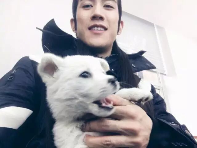 李治廷的狗被撞死了,看了网友的神评论小编有话说