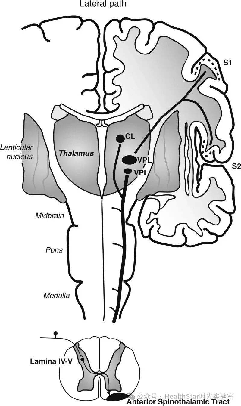 热疗法点亮抑郁之路：全身加热或成抑郁症治疗新选择(图3)