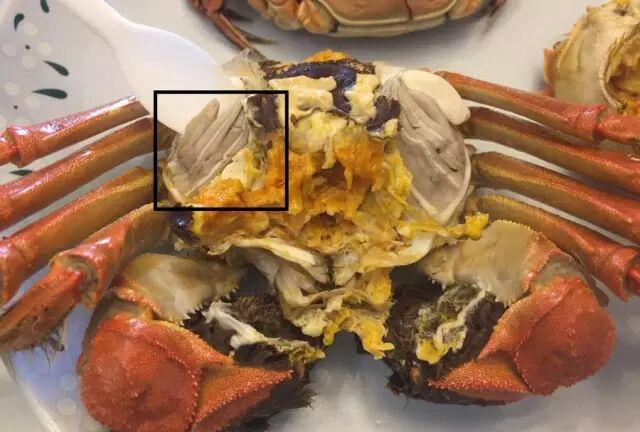 馋螃蟹了,那大闸蟹怎样才能安心吃