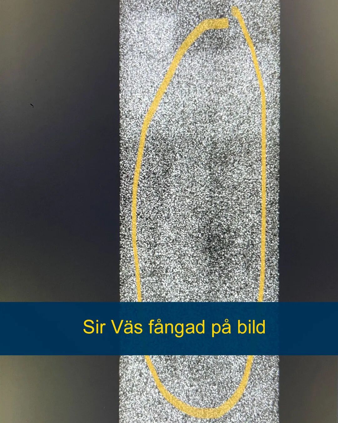 x光机为什么为什么要用x光来找毒蛇呢？本周孩子们好奇的问题还有…【把世界讲给孩子听】_https://www.jmylbn.com_新闻资讯_第1张