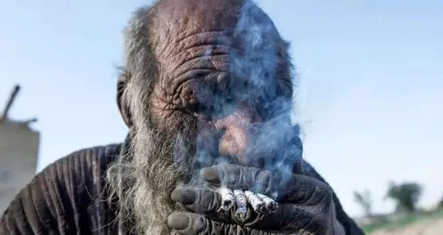 x光机为什么为什么要用x光来找毒蛇呢？本周孩子们好奇的问题还有…【把世界讲给孩子听】_https://www.jmylbn.com_新闻资讯_第3张