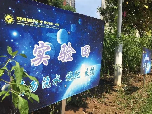 鐵一中校區(qū)_鐵西區(qū)一中分校_西鐵一中