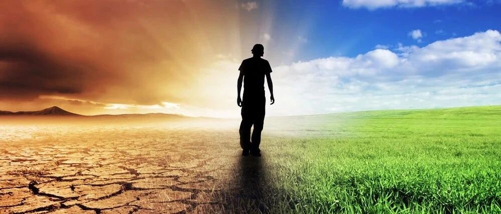 网络小贷带上紧箍咒，对持牌消金却是利好？