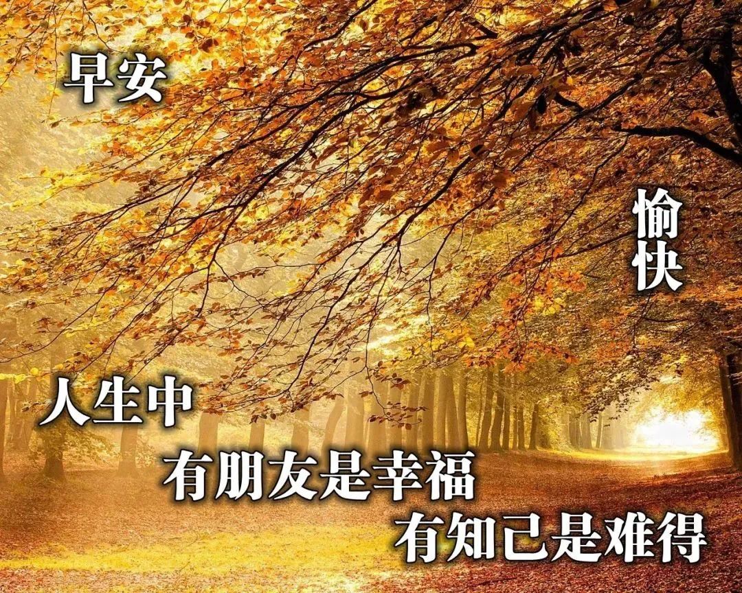 心灵成长 励志语录